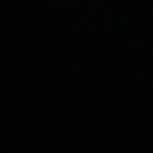 Meet your Posher, Larry